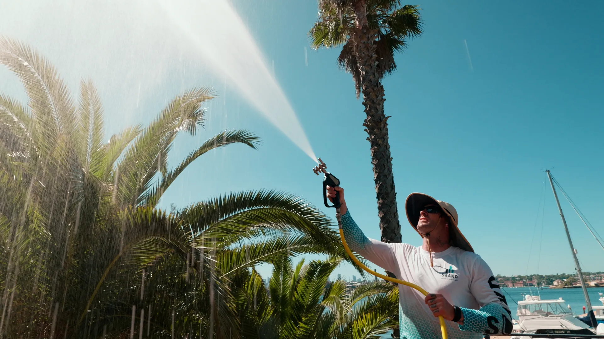 SOAKD operator softwashing palm trees and exterior foliage at a coastal marina property as part of a scheduled maintenance program